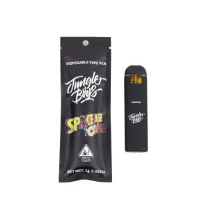 Jungle Boys - Space Age Cake